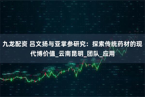 九龙配资 吕文扬与亚掌参研究：探索传统药材的现代博价值_云南昆明_团队_应用